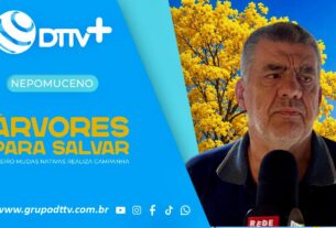 DIA MUNDIAL DO Dia Mundial do Meio Ambiente em Nepomuceno terá campanha com plantio de árvores, distribuição de mudas e ações de conscientização.